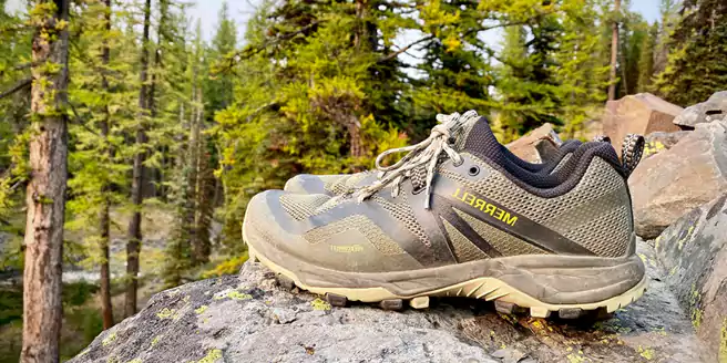Jenis Sepatu Gunung Low Cut Hiking Shoes