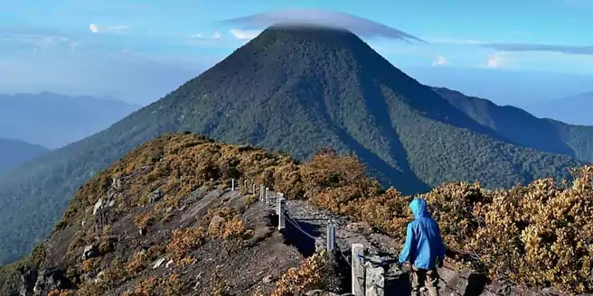 Gunung Paling Indah Di Indonesia - Gunung Gede