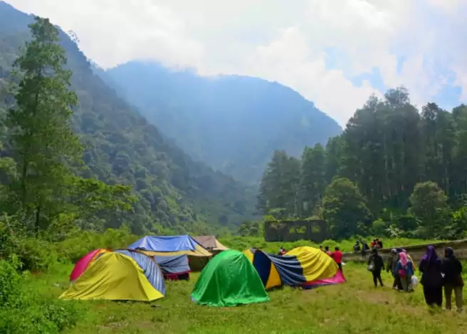 Camping Ground Terbaik Di Jawa Barat Bumi Perkemahan Gunung Puntang Bandung
