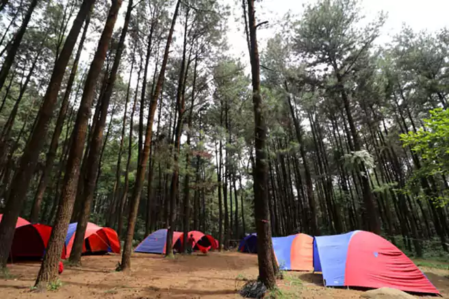 Camping Ground Terbaik Di Jawa Barat Gunung Pancar Camp Ground Bogor