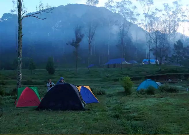 Camping Ground Terbaik Di Jawa Barat Ranca Upas Camping Ground Bandung