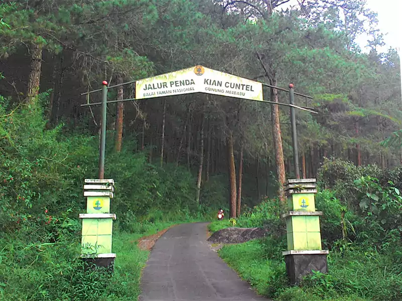 Gerbang Jalur Pendakian Gunung Merbabu Via Cuntel
