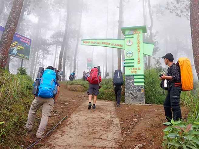 Gerbang Jalur Pendakian Gunung Merbabu Via Suwanting
