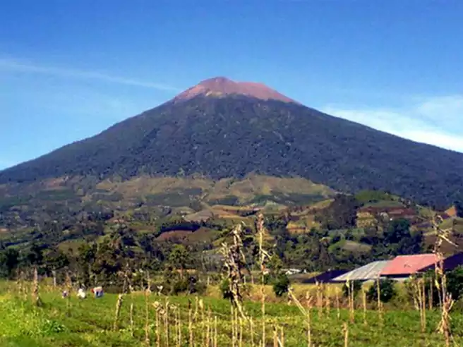 Foto Gunung Slamet Dari Ladang Penduduk