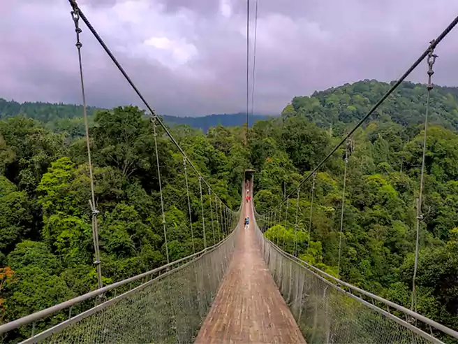 Jembatan Gantung Di Tempat Camping Situ Gunung Sukabumi