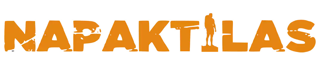 Logo Napaktilas Orange