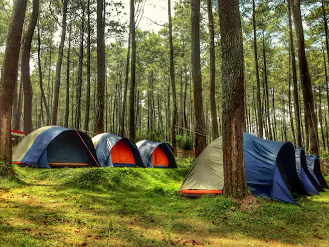 Tempat Camping Di Bandung Cantigi Camp