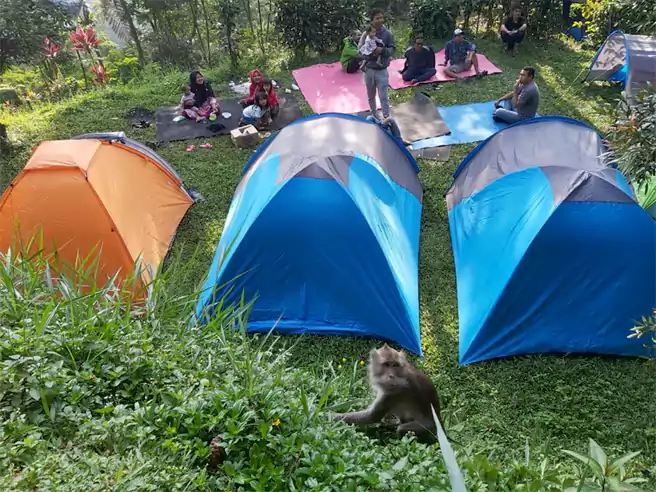 Tempat Camping Di Bogor Campgrounds Sukamantri