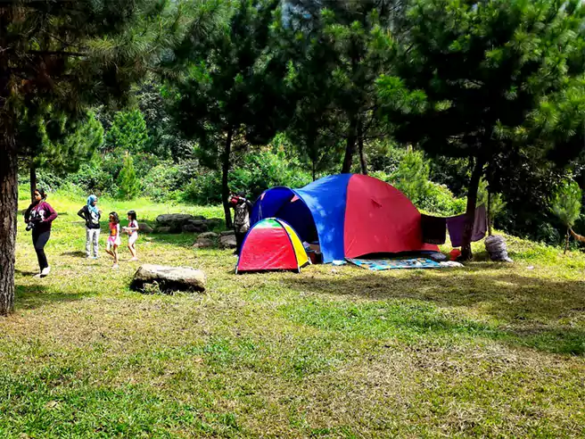 Tempat Camping Di Bogor Curug Cipamingkis