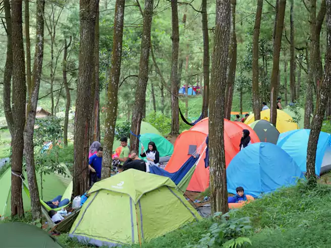 Tempat Camping Di Bogor Curug Ciputri Tenjolaya