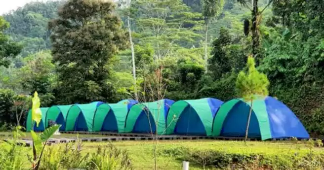Tempat Camping Di Bogor Griya Sawah Lega