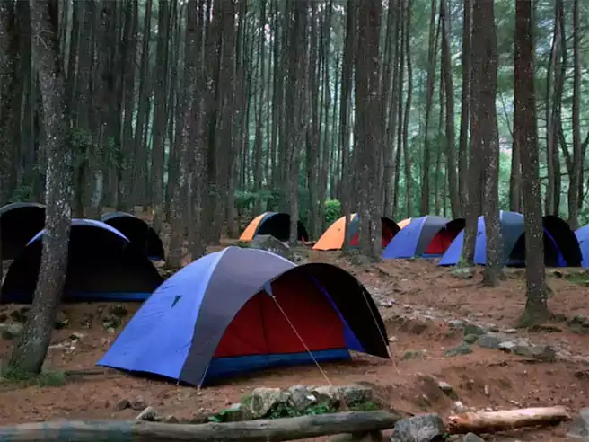 Tempat Camping Di Bogor Suaka Elang