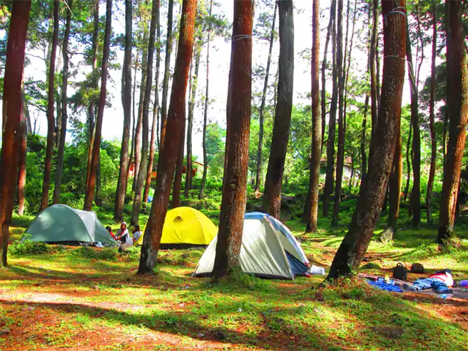 Tempat Camping Di Jawa Timur Bumi Perkemahan Kakek Bodo