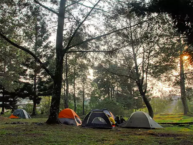Tempat Camping Di Jawa Timur Coban Rais