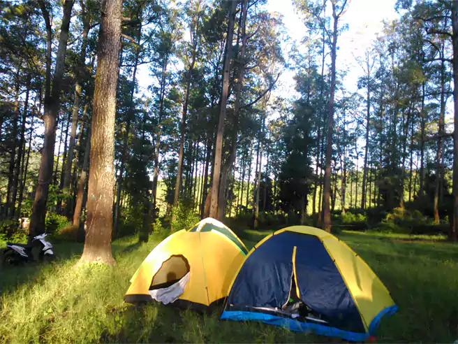 Tempat Camping Di Jawa Timur Coban Rondo Campground