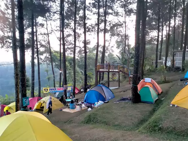 Tempat Camping Di Jawa Timur Lentera Camp Trawas