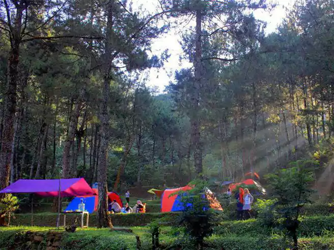 Tempat Camping Di Sukabumi Pondok Halimun