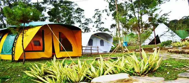 Camping Ciwidey Bale Bambu Adventure Resort