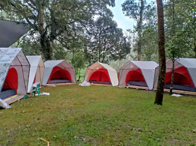 Camping Ciwidey Hejo Forest
