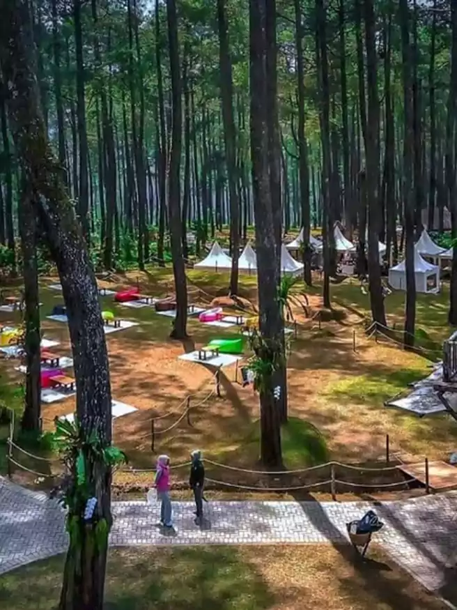 Camping Ciwidey Koboy Tjipelah Coffee Camping Ground