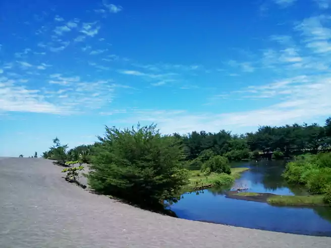 Gumuk Pasir Di Pantai Laguna Lembupurwo