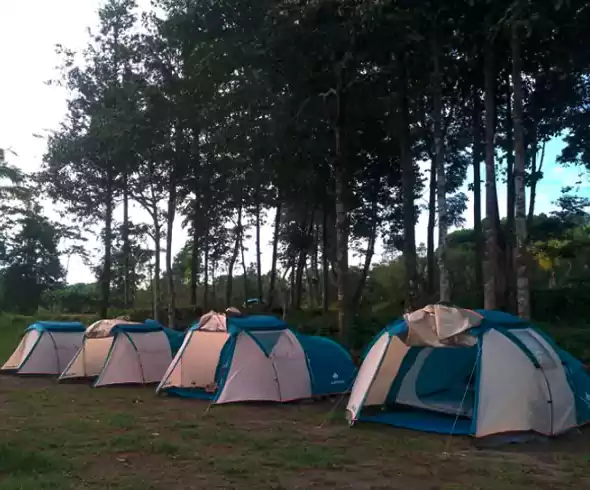 Tempat Camping Di Jogja Sinolewah Camping Ground