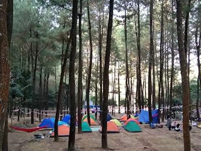 Tempat Camping Di Majalengka Camping Ground Curug Leles