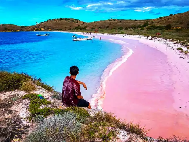 Pantai Lombok Pantai Pink