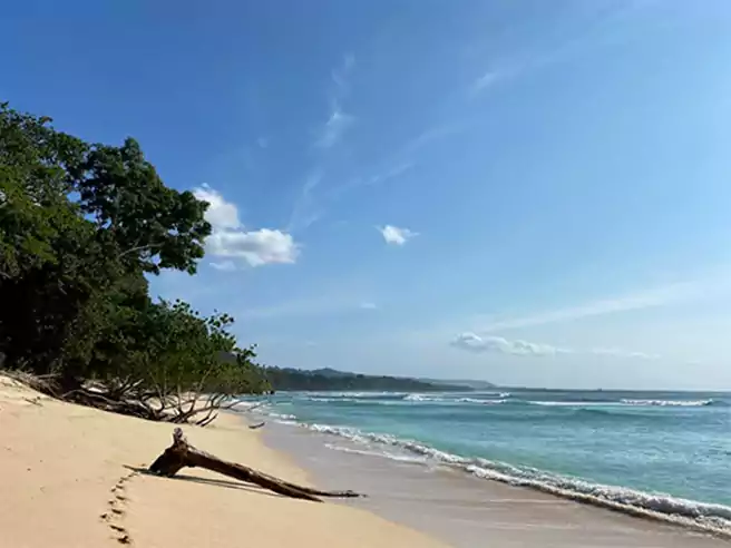 Pantai Di Jawa Timur Pantai Plengkung Banyuwangi