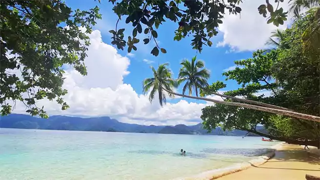 Pantai Di Papua Harlen Beach Jayapura