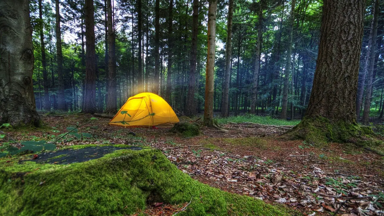Rekomendasi Tempat Camping Terbaik Di Tuban