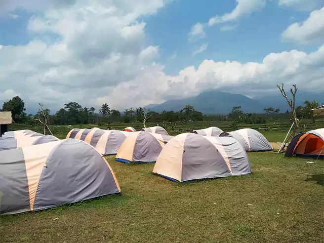 Tempat Camping Di Bedugul Kampoeng Peneng Camping Camp