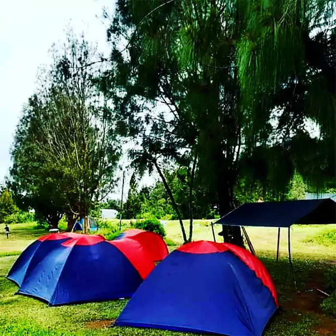 Tempat Camping Di Cibodas Air Terjun Cibeureum