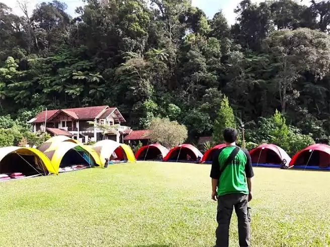 Tempat Camping Di Cibodas Mandalawangi Nature Camp