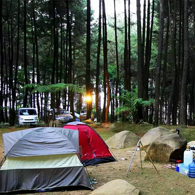 Tempat Camping Di Jakarta Hutan Pinus Gunung Pancar Camp Outbound