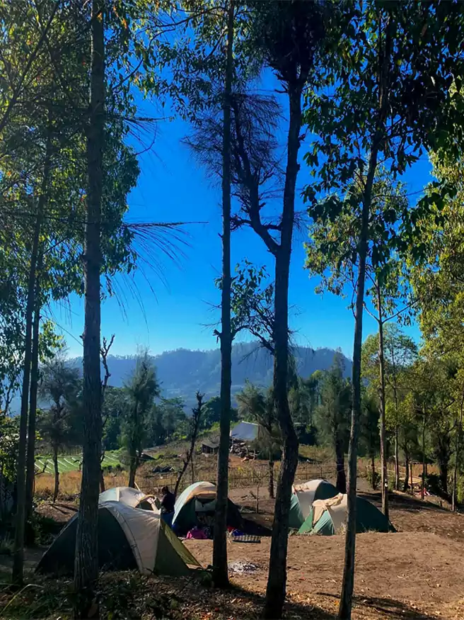 Tempat Camping Di Kintamani Kayupadi Sunrise Camping