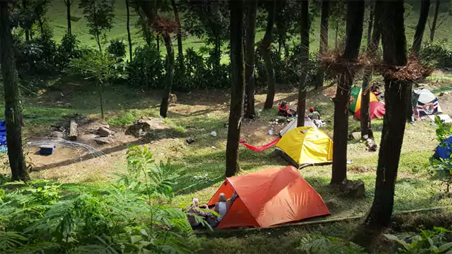 Tempat Camping Di Mojokerto Bumi Perkemahan Air Terjun Dlundung