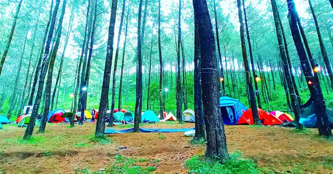 Tempat Camping Di Mojokerto Puthuk Panggang Welut