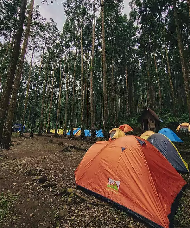 Tempat Camping Di Purwokerto Curug Gomblang