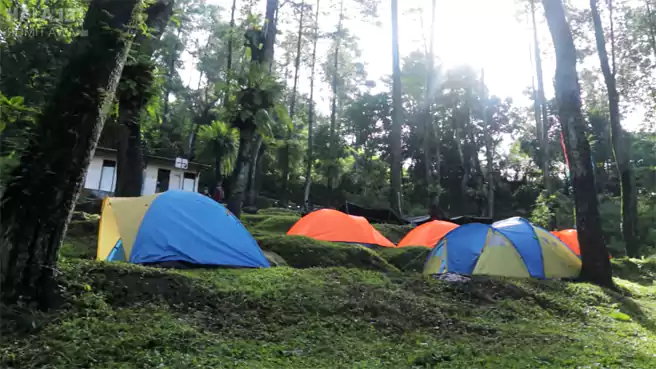 Tempat Camping Di Trawas Mojokerto Bumi Perkemahan Air Terjun Dlundung