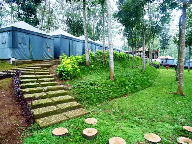 Tempat Camping Di Trawas Mojokerto Lentera Camp Trawas