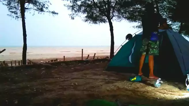 Tempat Camping Di Tuban Mangrove Center Tuban