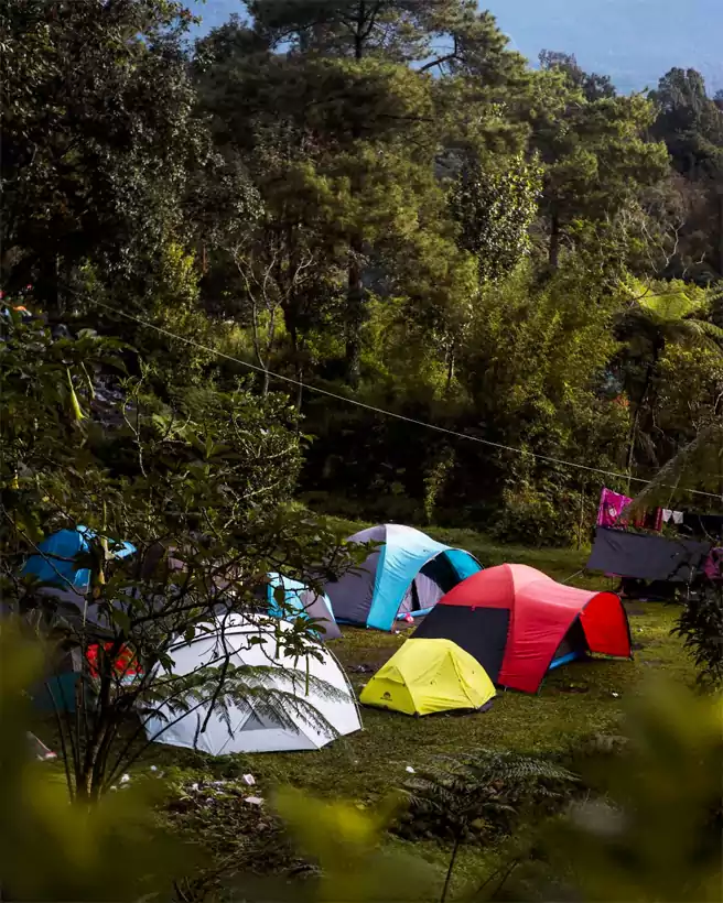 Tempat Camping Di Cianjur Bumi Perkemahan Mandalawangi