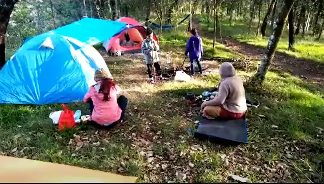 Tempat Camping Di Karanganyar Cemoro Kandang