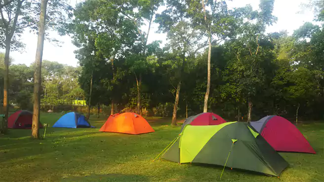 Tempat Camping Di Sekitar Pekanbaru Alam Mayang Park