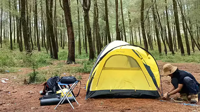 Tempat Camping Di Sulawesi Selatan Hutan Pinus Camping Ground Lembanna