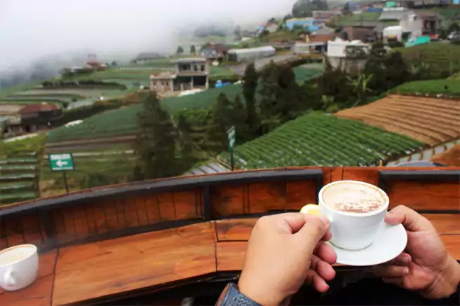 Nepal Van Java Kopi Balkon