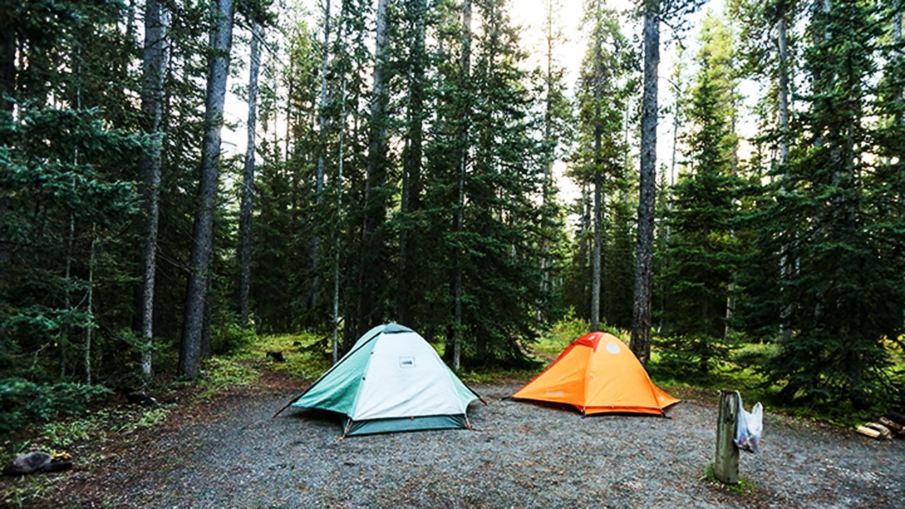 Tempat Camping Terbaik Di Jember Yang Lagi Hits