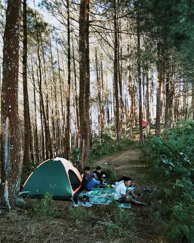 Tempat Camping Di Banjarnegara Bumi Perkemahan Gunung Lawe
