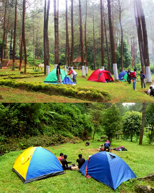 Tempat Camping Di Banjarnegara Wisata Alam Curug Sinom Indah Kalibening